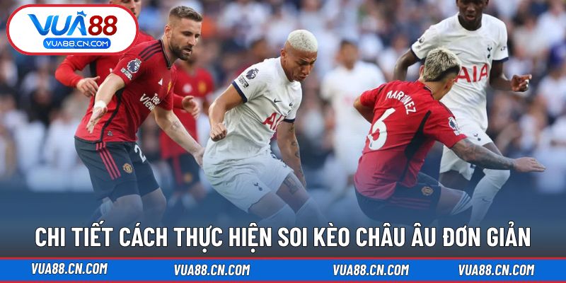 Hướng dẫn soi bo châu Âu không khó tại VUA88 Hướng dẫn soi bo châu Âu không khó tại VUA88