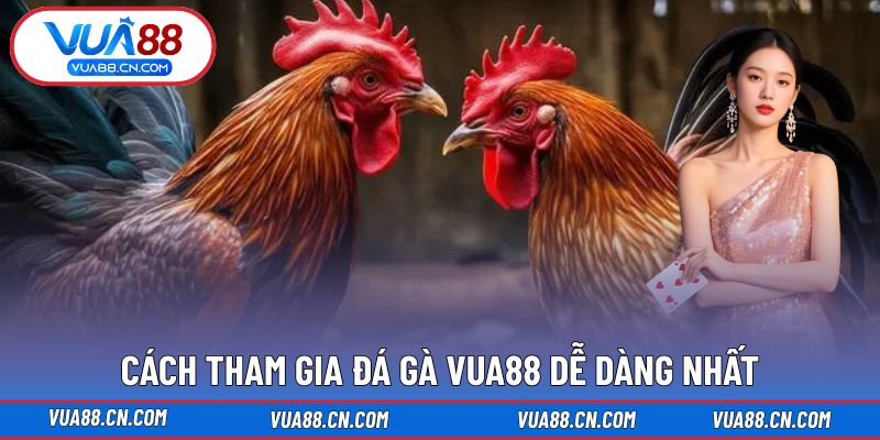 Cách tham gia Đá Gà VUA88 dễ dàng nhất Cách tham gia Đá Gà VUA88 dễ dàng nhất