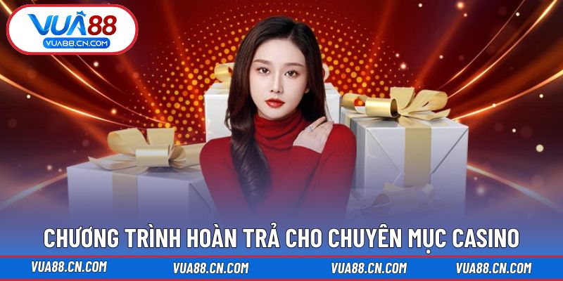 Chương trình hoàn trả cho chuyên mục casino Chương trình hoàn trả cho chuyên mục casino