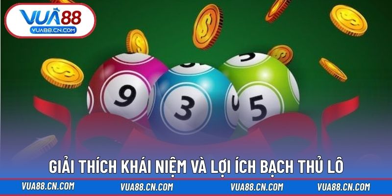 Bạch Thủ Lô – Phương Pháp Đánh Một Số Duy Nhất Chuẩn Xác Giải thích khái niệm và lợi ích bạch thủ lô