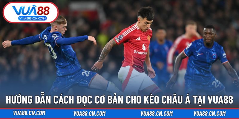 Hướng dẫn cách soi kèo châu Á cơ bản nhất