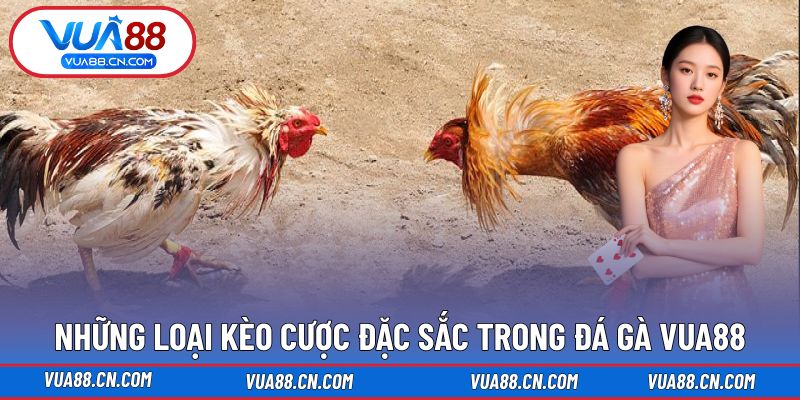 Những loại kèo cược đặc sắc trong Đá Gà VUA88 Những loại kèo cược đặc sắc trong Đá Gà VUA88