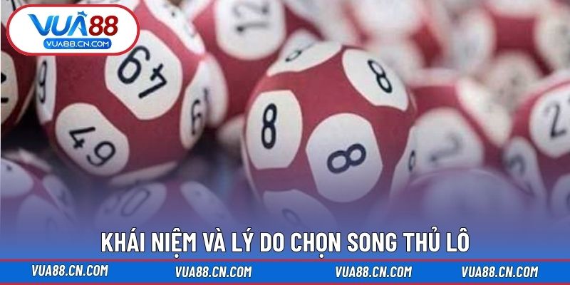 Khái niệm và lý do chọn song thủ lô