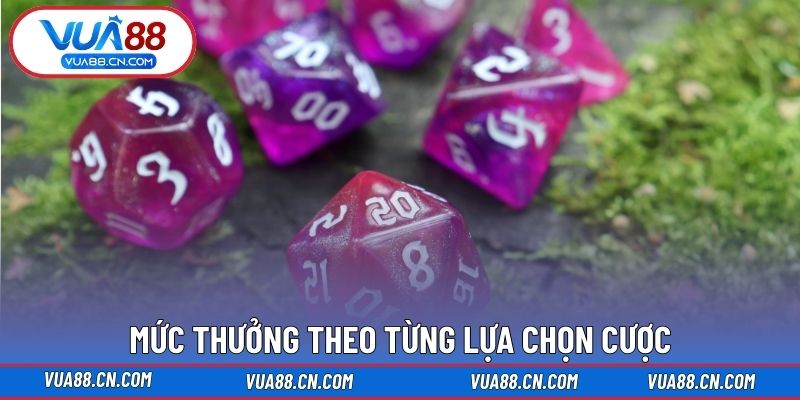 Mức thưởng theo từng lựa chọn cược