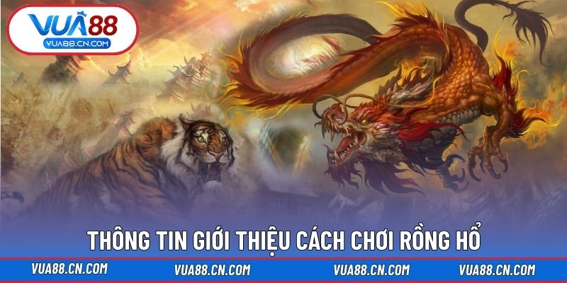 Thông tin giới thiệu cách chơi Rồng Hổ